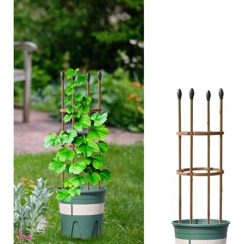 H:60/75/90/120cm D:20cm Plant Climbing Frame Steel Pipe Garden Metal Imitation Bamboo Flower Stand Potted Plant Support Column