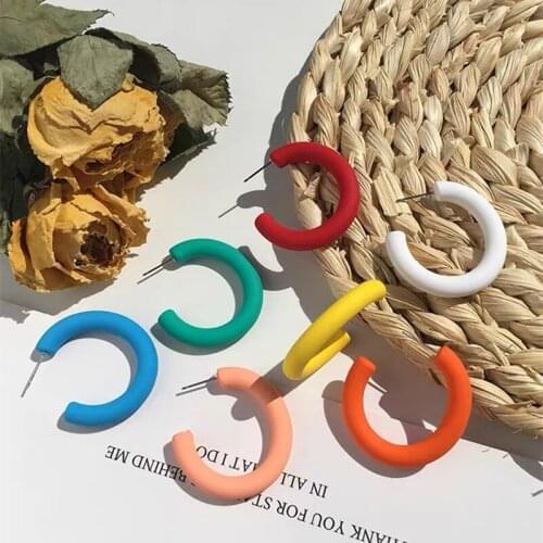 2020 South Korea summer new fashion simple acrylic frosted sexy temperament womens versatile earring accessories wholesale