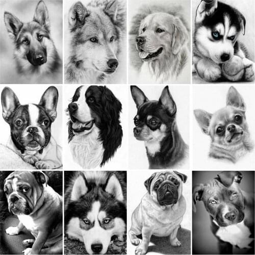 HUACAN Picture By Number Dog Animal Kits For Adults Handpainted DIY Oil Painting By Number Home Decoration