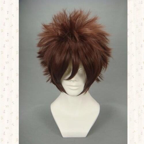 Anime Digital Monster Digimon Adventure Cosplay YAGAMI TAICHI Wig Hair Synthetic Costume Wigs + Wig Cap