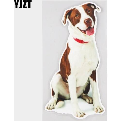 YJZT 10×19.5CM Smiling Huge Purebred Dog Funny Animal Windshield Decoration Stickers Car Accessories 21A-0057