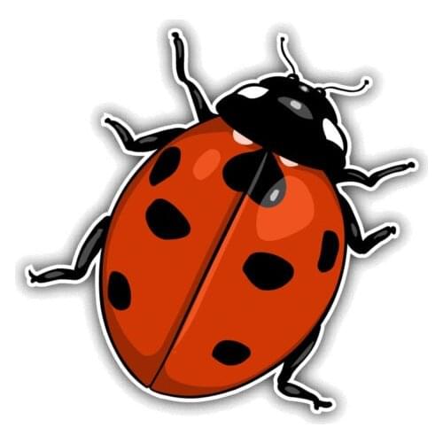 12CM*10.6CM bug Animal Cartoon Car Sticker Funny PVC Decal 12-1086