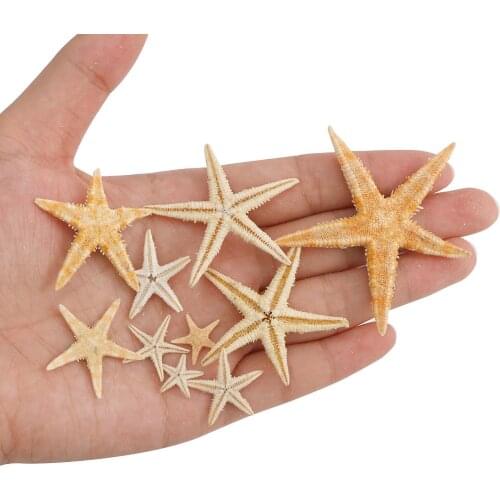 NEW 1 Box Natural Starfish Seashell Beach Craft Natural Sea Stars DIY Beach Wedding Decoration Crafts Home Decor Epoxy 1-5cm