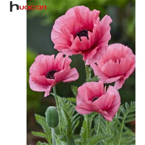 Huacan Full Square/round Diamond Painting Poppy Flower Mosaic Pink Floral Embroidery Home Decoration Crystal Wall Stickers