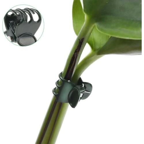 100pcs / Bag Reusable Garden Plant Fixing Rings Holder Orchid Clip Vegetable Flower Garden Supplies Plastic Tools For Vegetables