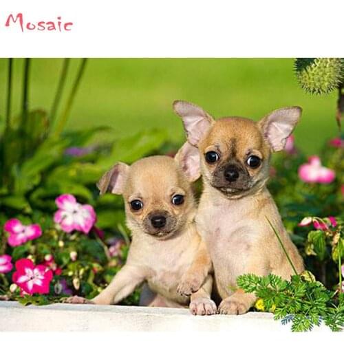 Full Square Diamond Embroidery chihuahua dog Diamond Painting Cross Stitch animal pet Drawings,Diamond Mosaic wall painting