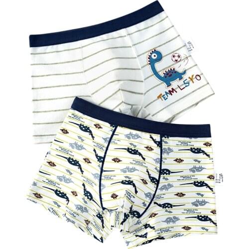 2pcs/lot Dinosaur Boy Boxer Graphic Underwear Striped White Boy Cotton Panties Kids Clothes 3 4 6 8 10 12 14 Years Old OKU203014