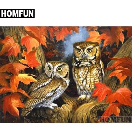 HOMFUN Full Square/Round Drill 5D DIY Diamond Painting "Autumn owl" Embroidery Cross Stitch 5D Home Decor Gift A01342
