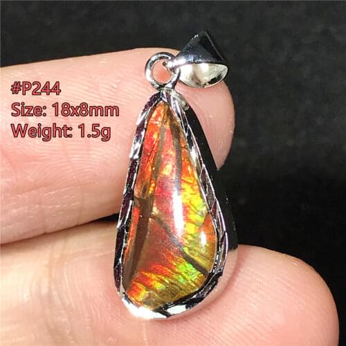 Necklace Pendant Natural Red Ammonite Ammolite Crystal Jewelry For Women Man Healing Luck 18x13mm Beads Silver Stone Gemstone