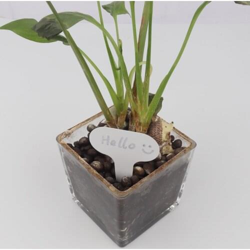 100pcs 4.9*6.8cm T-Type Gardening Label Plant Flower Nursery Label Can Marker Insert Label High Quality Garden Plastic Label