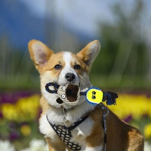 Bite Resistant Dog Ball Toys Duck Type Small Medium Dogs Cleaning Teeth Puppy Tennis Toy Products Dog Accessories Dropship