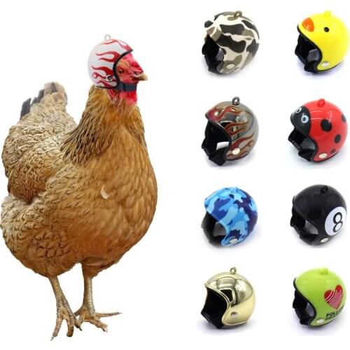 Creative Pigeon Pet Tools Sunscreen And Rainproof Toy Helmet Animals Should Also Pay Attention To Their Heads