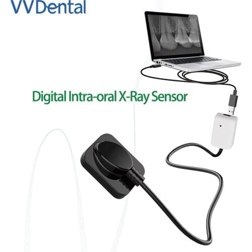 Dental Sensor Digital Intraoral Intra-Oral X-Ray Sensor Imaging System Image RVG X-Ray Sensor Dental Instrument Tools