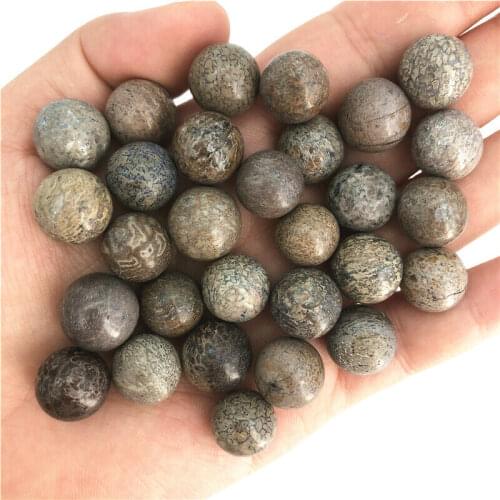 1/2pcs Dinosaur Bone Fossil Ball Natural Fossil Stone Sphere Smooth Polished Healing Natural Quartz Crystals