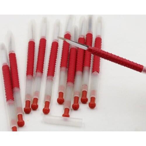 10 Pcs Bee Tools Move The Needle Horn Insect Pest Shift Quality Durable Material Needle Queen Larvae Worm Needle Moves Beekeepin