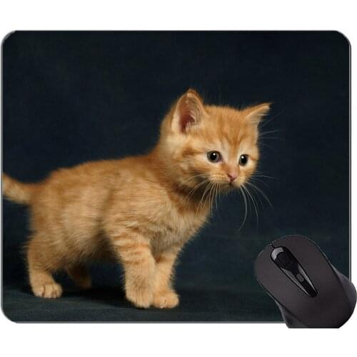 Mouse Pad with Stitched Edge,Baby Animal Kitten Pet Cat Non-Slip Rubber Base Mousepad