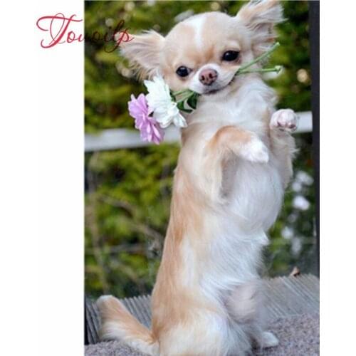 New DIY Diamond Painting chihuahua Dog Cute Pet Cross Stitch patterns beads Embroidery full rhinestone kits Mosaic Decor FG1832