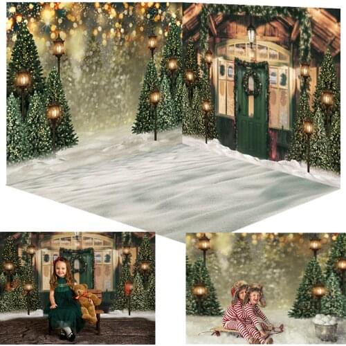 Christmas Backdrop Snow Field Winter Green Bokeh Xmas Background House Christmas Tree Street Light Portrait Photography Photo