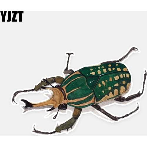 YJZT 12.4*8.1CM Lovely Stag Beetles Decor Car Stickers High Quality Personalized Colored 11A0624