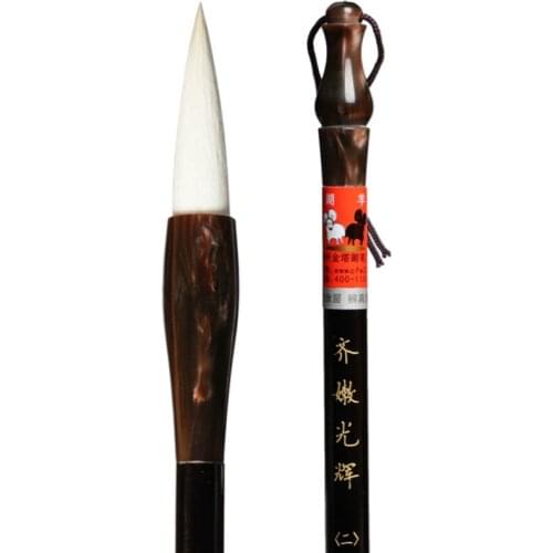 Caligrafia Chinese Calligraphy Pen Set 2pcs/set Multiple Hair Brush Pen Beginner Regular Script Brush Pen Set Tinta China