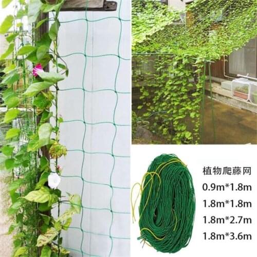 Nylon Mesh Horticulture Plant Crawl Net Loofah Morning Glory Cucumber Vine Grow Holder Crawl Farm Gardening Network