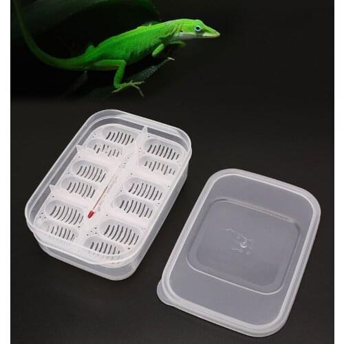 Reptile Egg Incubator Tray With Thermometer Incubating Snake Egg Incubation Tool Au02 21 Dropshipping