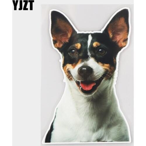 YJZT 12.6×19.6CM Jack Russell Pekingese Smiling Dog Window Decoration Funny Cartoon Car Stickers 21A-0045
