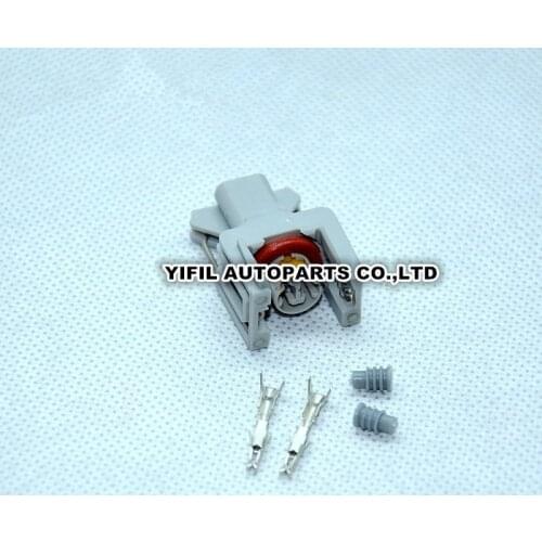 10pcs/lot 2 Pin/Way Spray Nozzle/Oil Atomizer Plug Electrical Socket Common Rail Injector Connector For Delphi Renault Jaguar