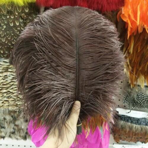 Wholesale 10pcs Pretty Coffee 35-40 cm/14-16 inch Natural Ostrich Feathers For Crafts Plumes Jewelry Making Wedding Decoration