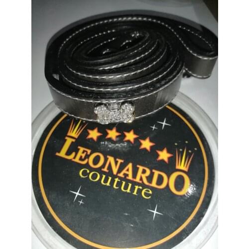 Leonardo Leashes For Dogs