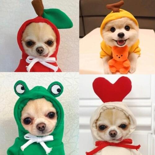 Pet Cat Clothes For Small Dogs Coat Fruit Pet Costume Dog Jacket Puppy Schnauzer Hoodies French Bulldog Clothing Poodle Outfit