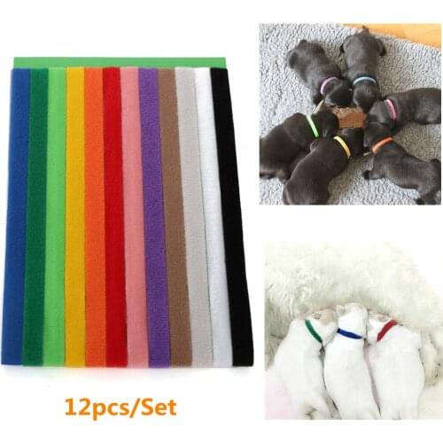 12pcs Puppy Kitten Identification Collar Pet Whelping ID Collar Bands Neck strap For Small Dogs Pet Supplies
