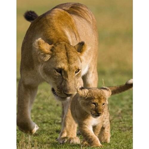 Diamond Embroidery 3D Diamond Painting Leopard Cross Stitch Craft Panther Animals Diamond Mosaic Full Drill Square Wall Sticker