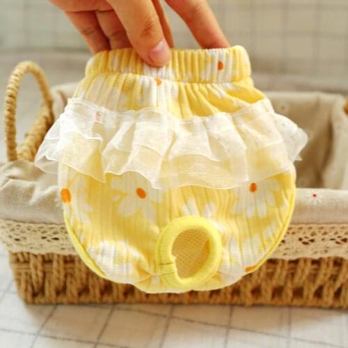 Girl Princess Sanitary Pant For Dogs Comfort Cute Small Medium Animal Puppy Chihuahua Poodle Physiological Pants Accessories