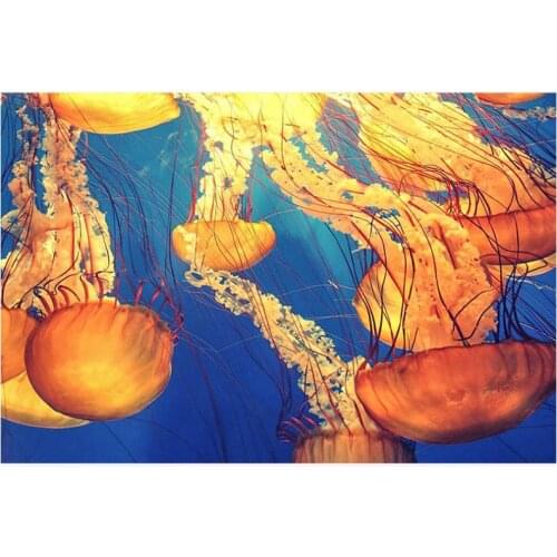 Full square diamond painting jellyfish rhinestone embroidery animals mosaic decor diamond dots poster wall paper diy craft gift