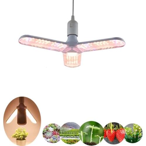 YCRAYS LED Plant Lamps