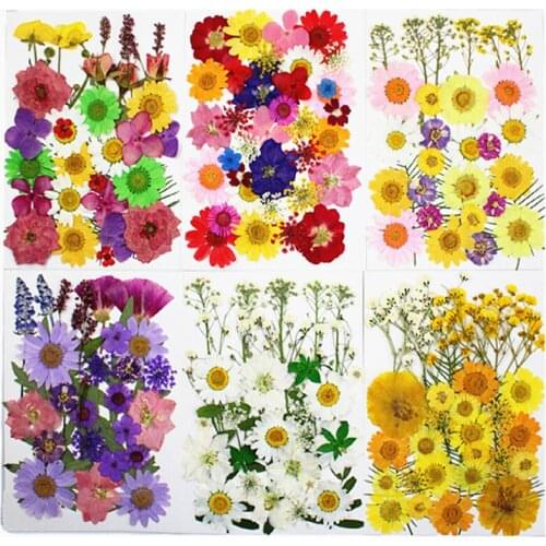 10 Pack Pressed Flower Material Pack Dried Flower Embossed Real Flower Petal Makeup Face DIY Decoration