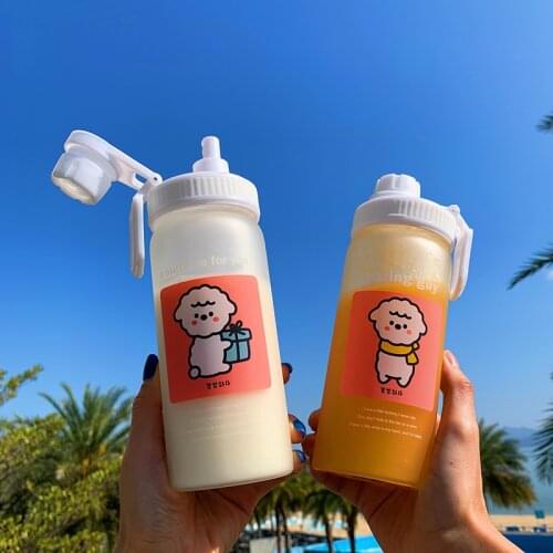 500ml Cute Korean Frosted Glass Water Bottle With Straw Portable Sport Drinking Water Bottles Large Capacity Water Cup For Girl