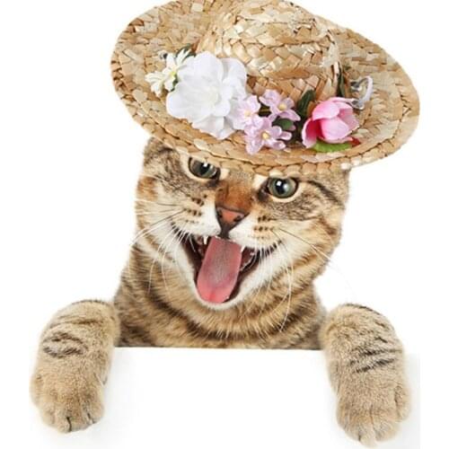 Summer Lace Flower Hat Pearl Lacel Cat Woven Hat Sunshade Pet Hat Sombrero For Small Dogs Cats Beach Party Straw Costume Cat