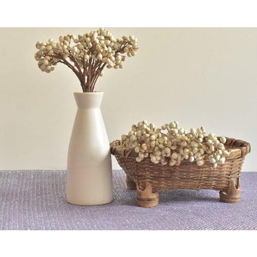 Natural Real White Fruits Bunch Eternal DIY Handmade Gift Box Wedding Home Decoration Table Accessories Garden Decoration