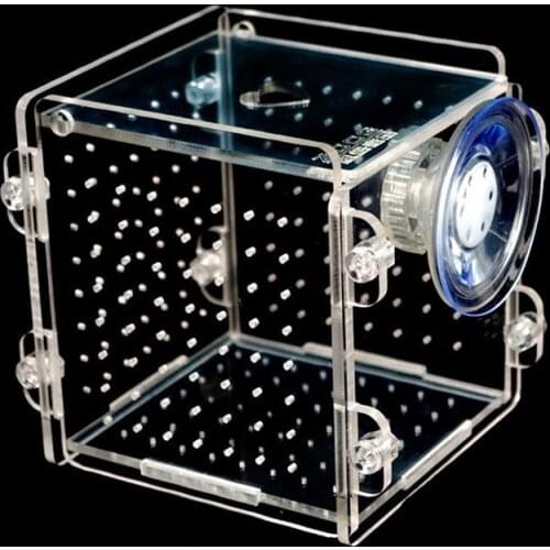 2Pcs Sucker Fry Isolation Box Fish Tank Isolation Box Acrylic Aquarium 8*8*8.8cm
