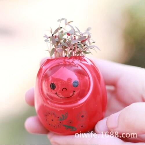 Manufacturers selling LifeCare elf mini green plants potted plants Creative Desktop valentines
