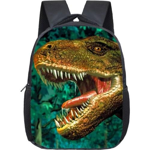 Dinosaur Magic Dragon Backpack For Kids Animals Backpacks Kids Schoolbags Boys Girls School Bags Daily Backpack Book Bag