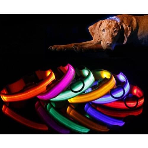 Nylon Pet Dog Collar LED Light Night Safety Light-up Flash Glowing in Dark Cat Collar LED Dog Collars Small Dogs Dog Accessories