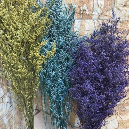 25-30g/Bundle,15-35CM Lover Grass Natural Fresh Dried Preserved Dancing Flowers,Real Forever Flower Grass Branch For Home Decor