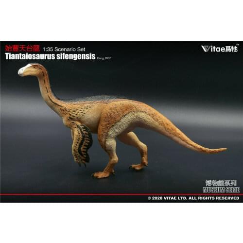 Vitae 1:35 Scale Tiantaiosaurus sifengensis Dong Model Dinosaur Toys Animal Collector Animal Adults Gift