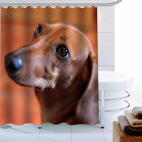 Dachshund Dog Shower Curtain Polyester Fabric Print Bath Curtains For Bathroom Waterproof Bath Curtain Hook Modern Eco-Friendly