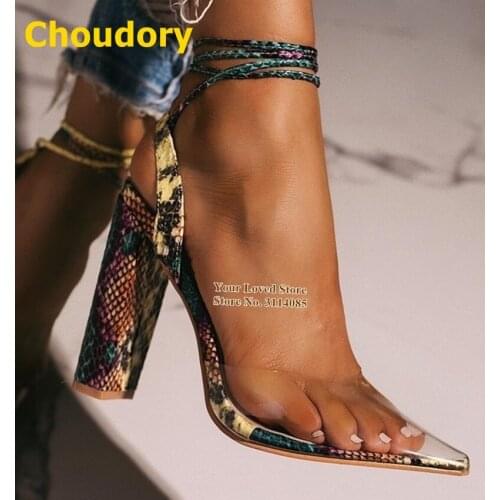 Choudory Women Chunky Heels Clear PVC Pointed Toe Shoes Lace-up Multi Snakeskin Dress Shoes Transparent Pumps Dropship Plus Size