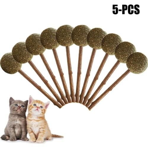 5pcs Pure Natural Catnip Pet Cat Toy Molar Toothpaste Branch Cleaning Teeth Silvervine Cat Snacks Sticks Pet Supplies
