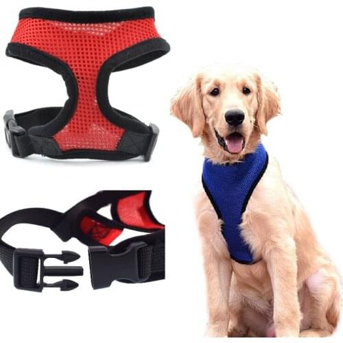 Dog Cat Harness Pet Dog Collar Lead Customized Puppy Collar Products Walking Leash for Pitbull Small Dogs Accessories Supplies